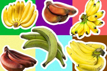 Collage of different banana types