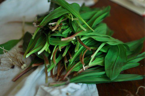 Green ramp tops in a pile.
