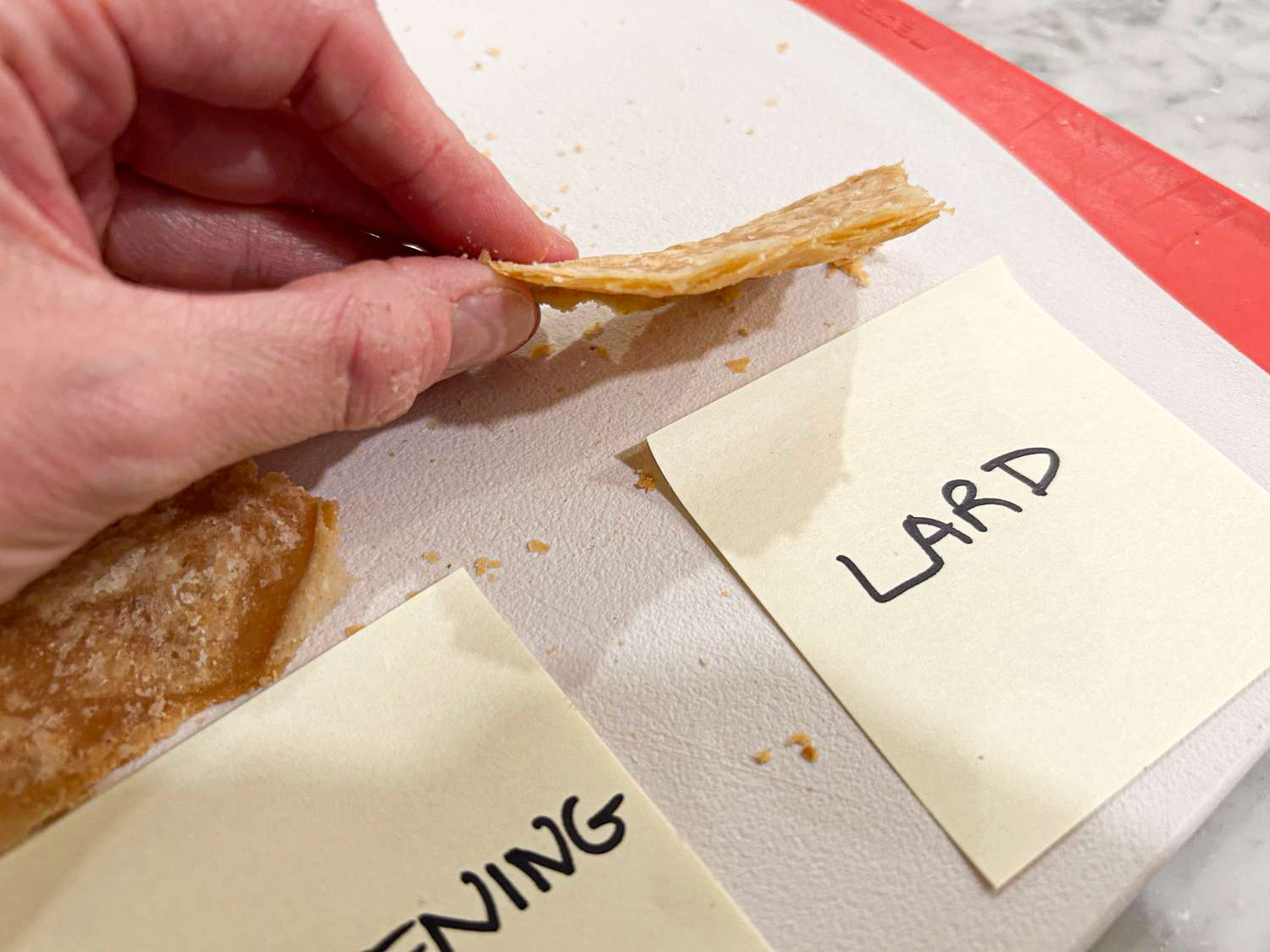 A comparison of pie crusts made with shortening and lard with a hand holding a piece of crust