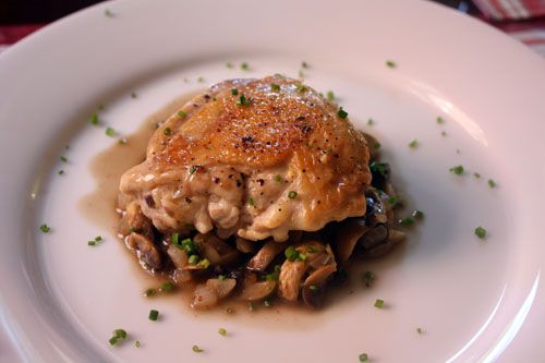Crusty chicken with mushrooms and white wine on a plate, sprinkled with chopped fresh herbs. 