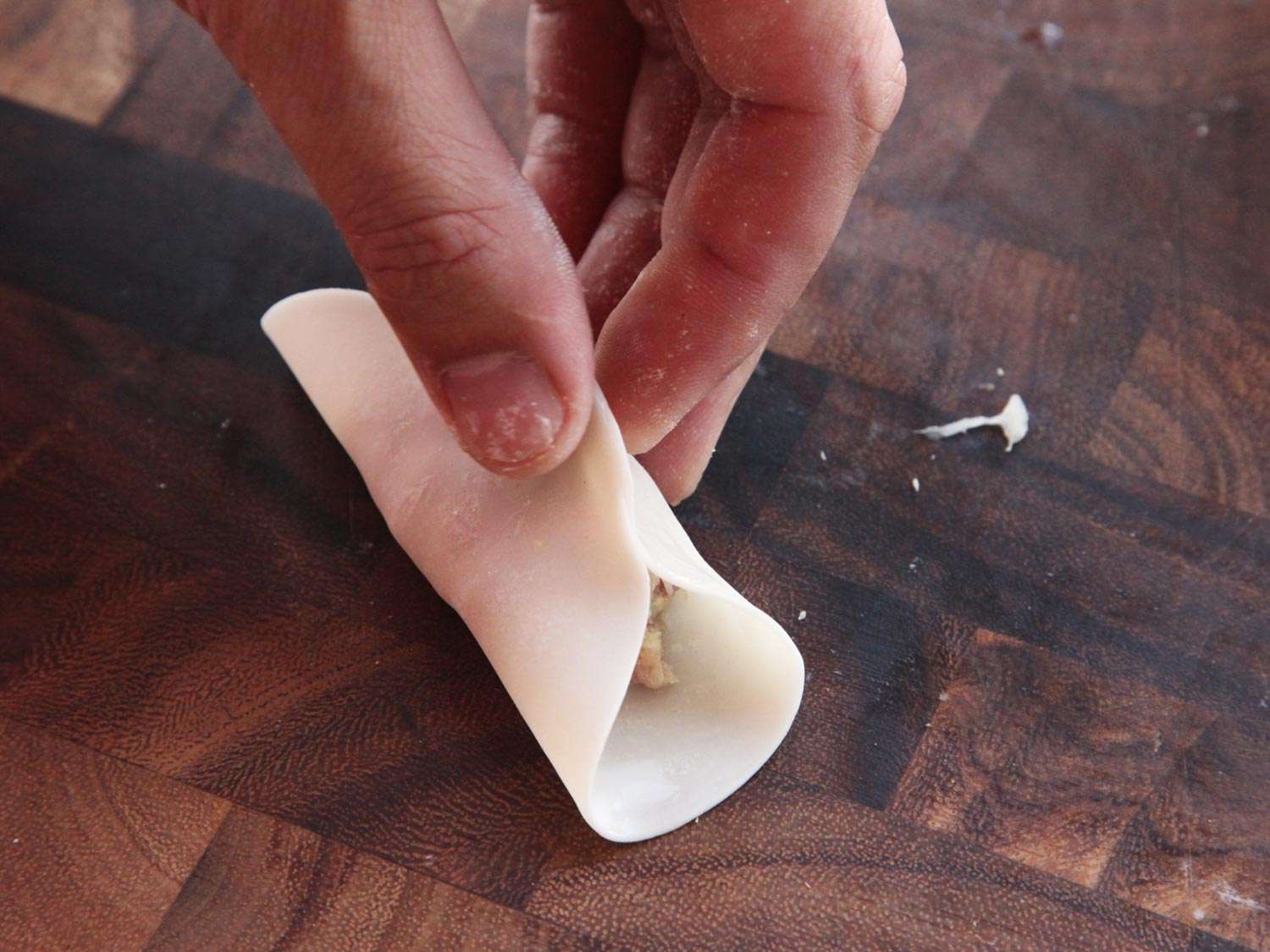 Pinching the sides of a dumpling wrapper together. There's ground pork and cabbage filling in the center of the wrapper.