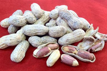 20120319_SaltedinShellPeanuts_Primary.jpg