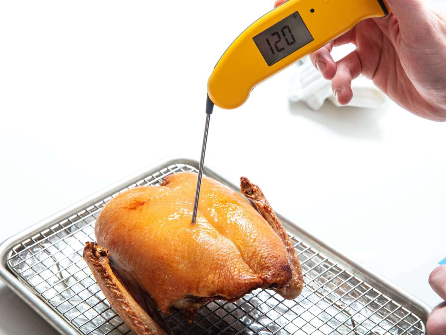 Checking the doneness of a roast duck crown with an instant-read thermometer.