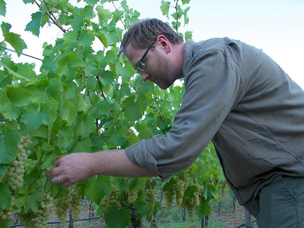 Dan Petroski of Massican