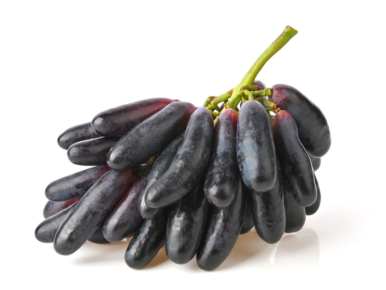 A cluster of elongated grapes attached to a stem isolated on a white background