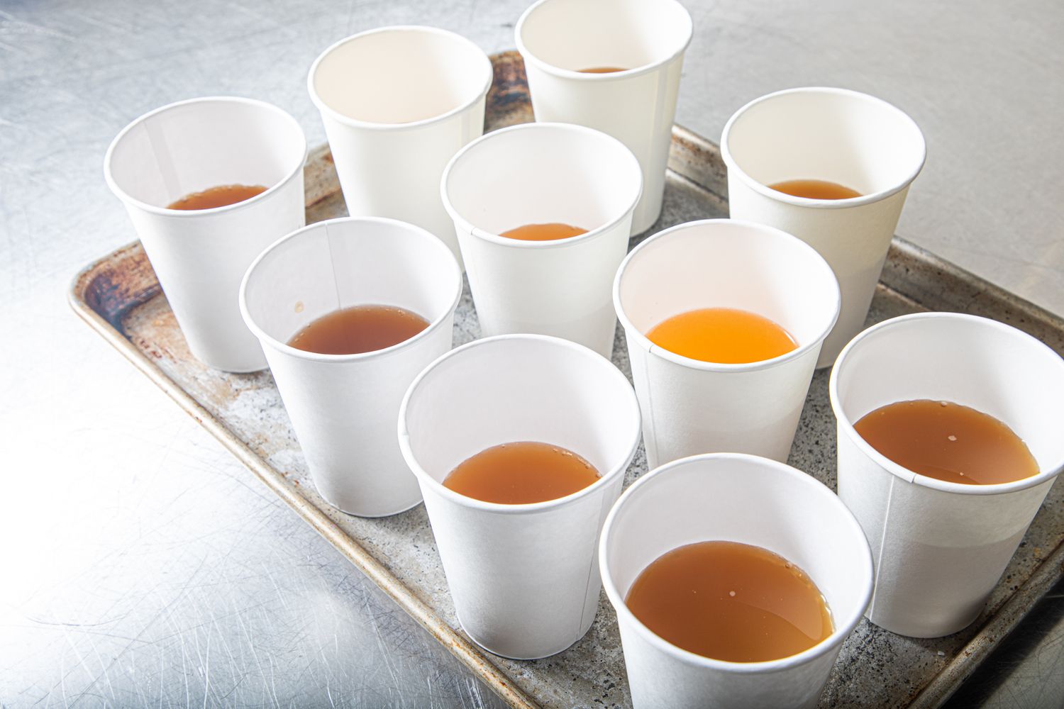 A tray containing ten white cups filled with varying amounts of apple cider
