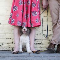 Sarah Baird is a contributing writer at Serious Eats. 