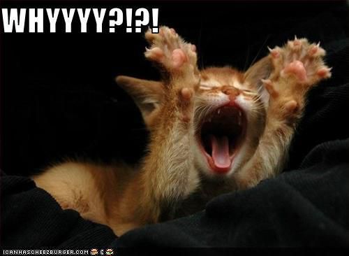 A orange tabby kitten lies on a black towel with arms outstretched upward and toward the camera as it yawns, mouth agape. Large white text in the upper left corner reads: "WHYYYY?!?!"