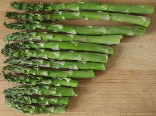 Asparagus lined up, showing the stalks snapped off unevenly.