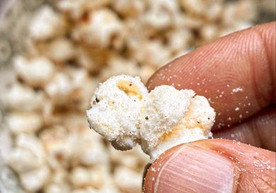 Hand holding a salted popcorn kernel with more popcorn in the background