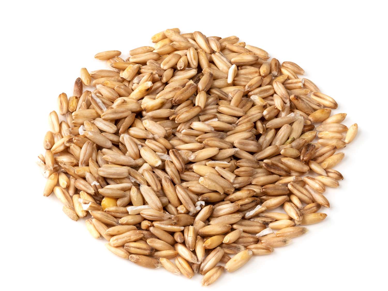 A pile of oat grains on a white background