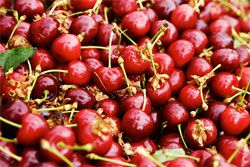 Closeup of cherries.