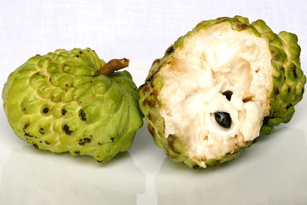 Cherimoya