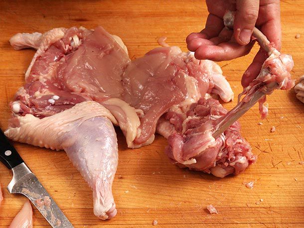 Scraping leg bone clean