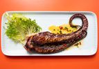 A grilled octopus tentacle, plated with frisée and liberally drizzled with chile-herb oil.