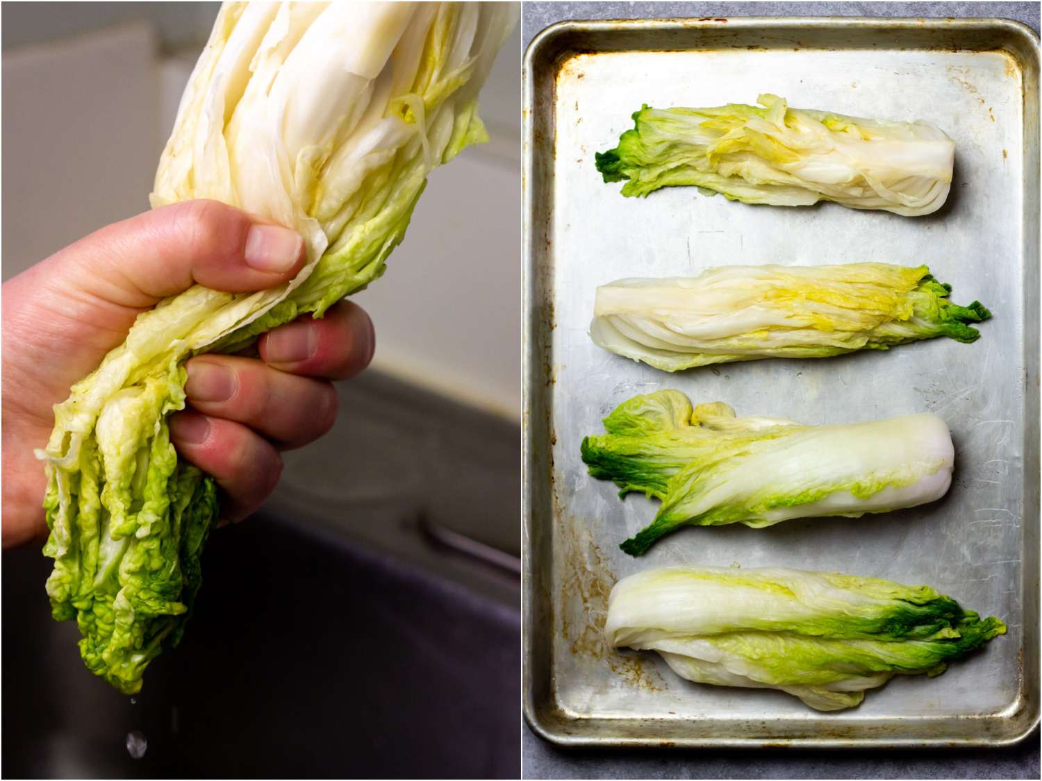 collage: a hand squeezing the liquid out of rinsed cabbage; 4 wet quarters of cabbage on a sheet tray