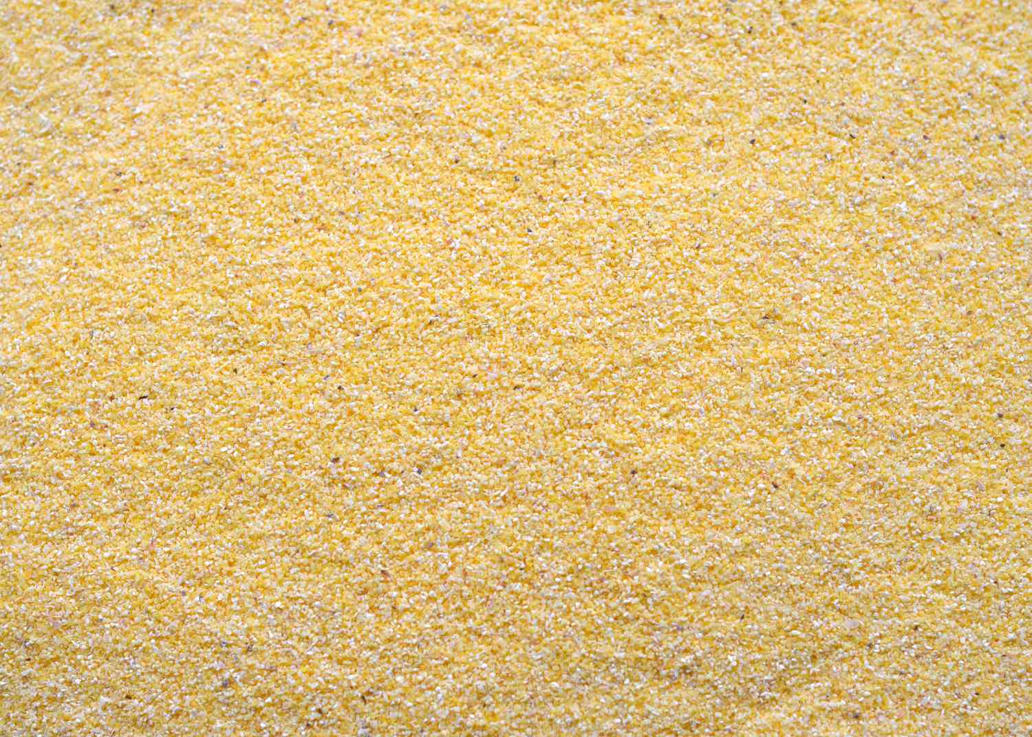 closeup of cornmeal