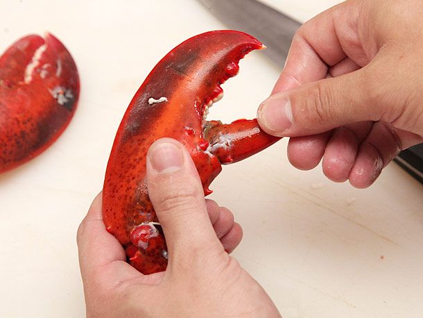 Breaking off the small pincer on a cooked lobster claw