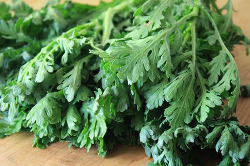 Chrysanthemum Greens resting on a wooden surface
