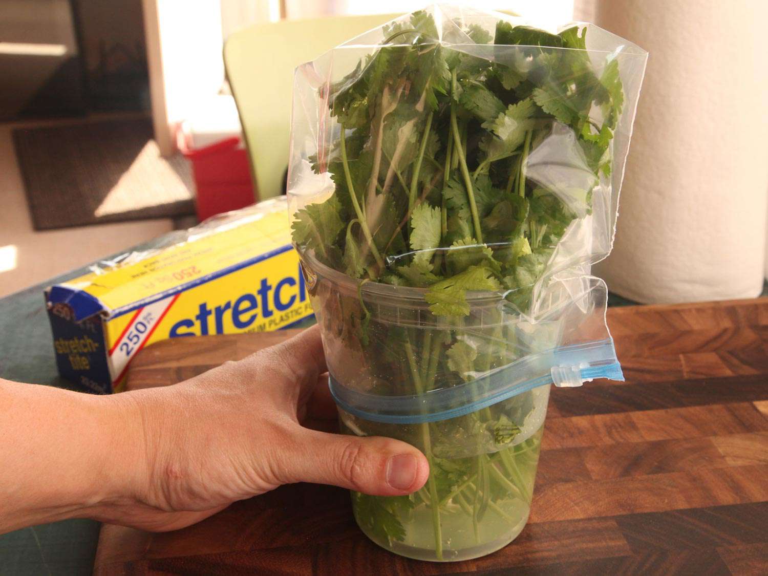 Herbs in a plastic jar with water and covered with a plastic bag.