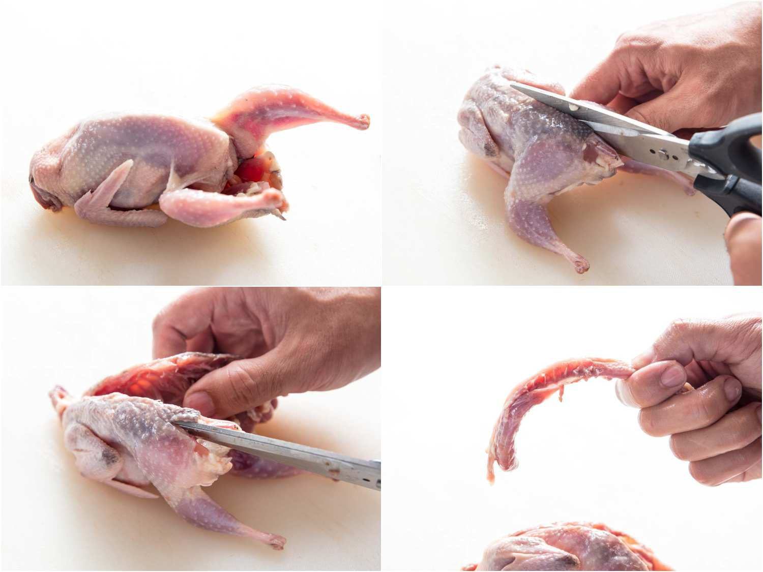 A four-image collage: The top left image shows a whole quail on a work surface. The top right image shows cutting along the spine of the quail with a pair of scissors. The bottom left image shows the quail being split to half. The bottom right image shows removing the spine of the quail. 