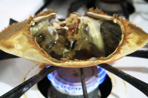 crab on stove burner