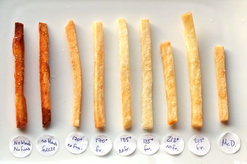 Testing photograph showing McDonald's-style french fries frozen and unfrozen, cooked to various temperatures.