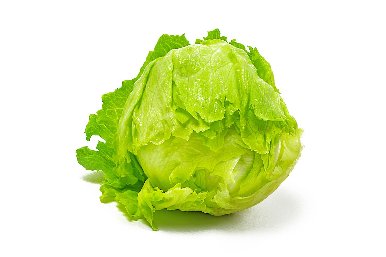 A single head of iceberg lettuce with leaves partially peeled