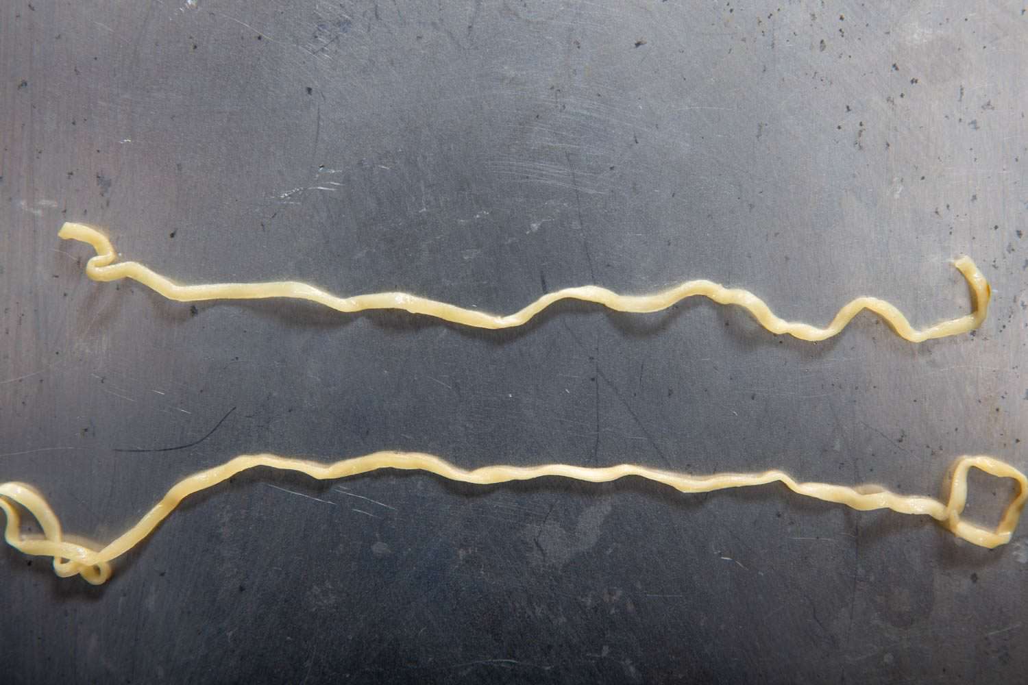 American Seafood Cup Noodle noodle on top compared with Japanese Seafood Cup Noodle noodle on bottom.