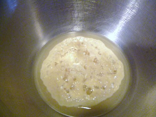 20110111-protips-ready-foaming.JPG