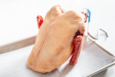 20200102-duck-vicky-wasik-Crowns-18