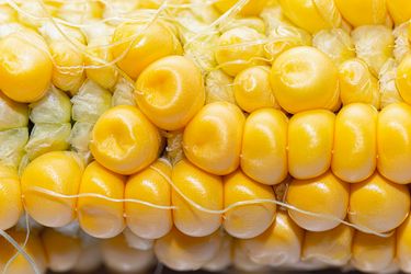 Closeup of corn kernels on a cob showing the texture and arrangement of the individual kernels