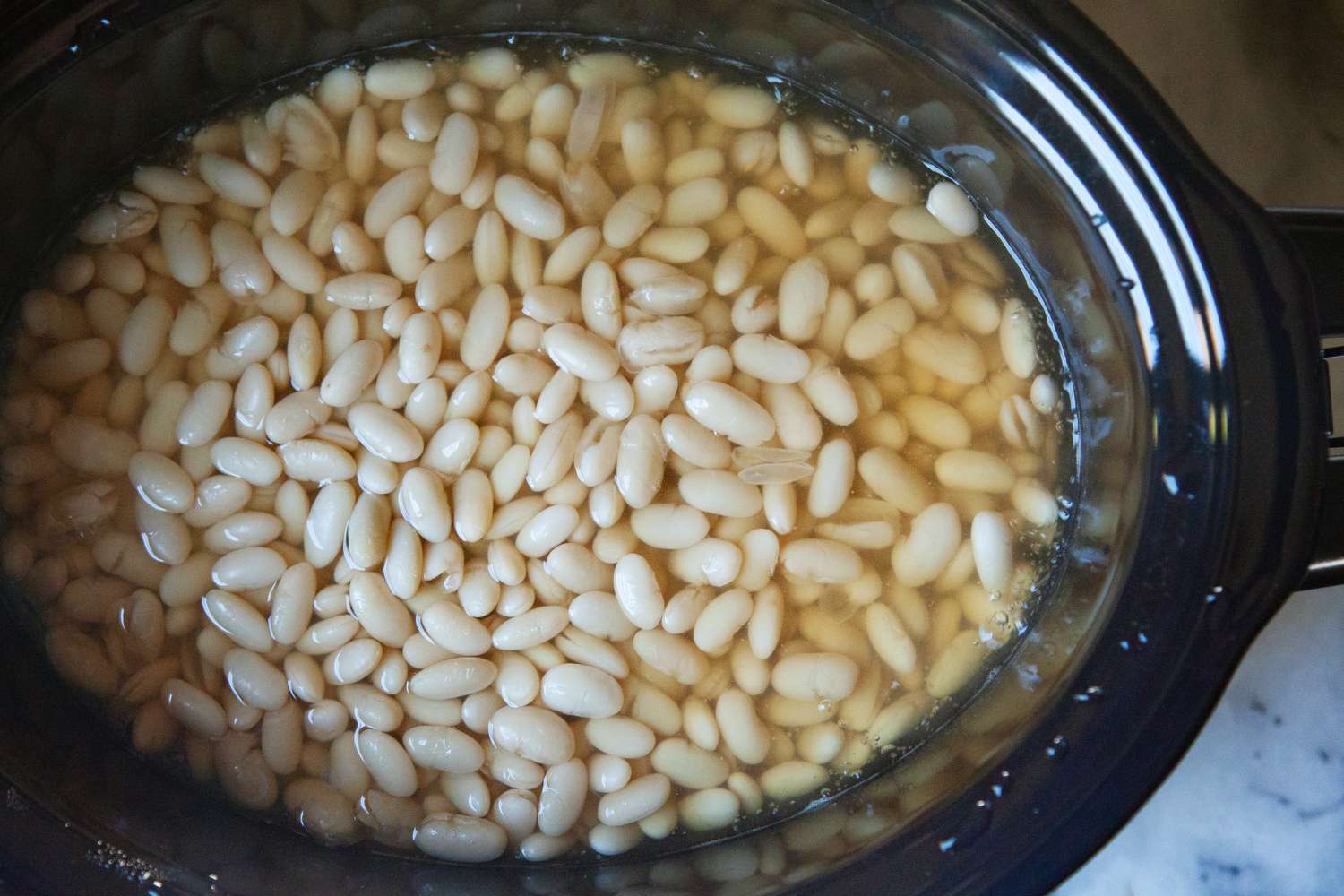 an overhead shot of white beans in a slow cooker