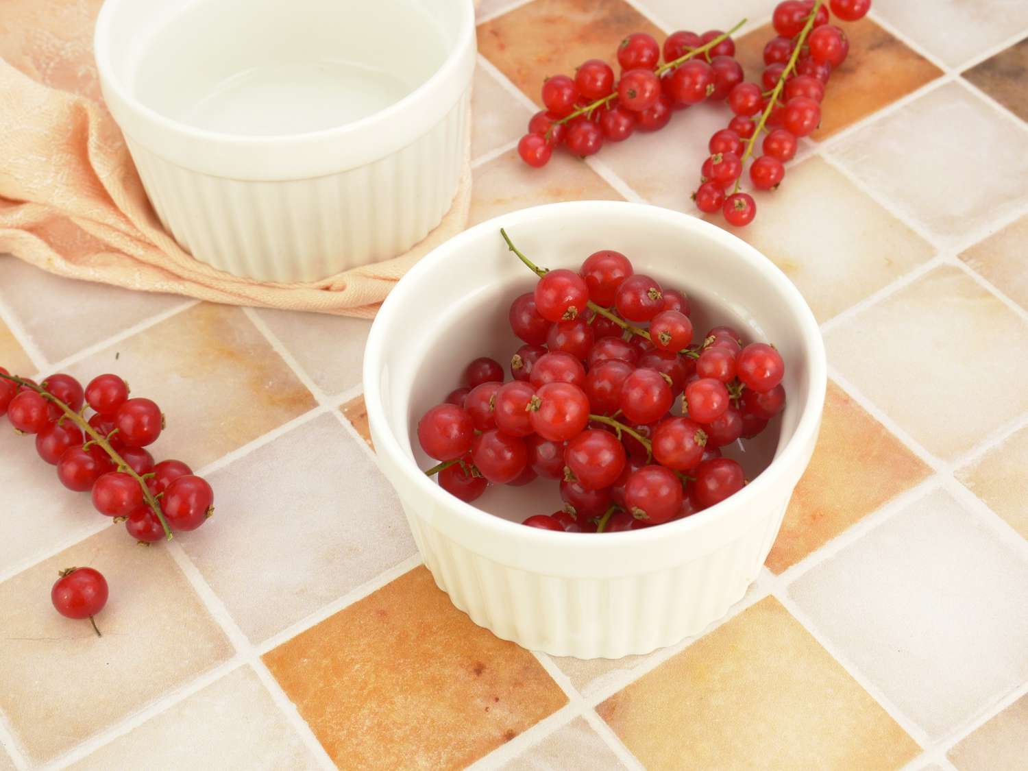 dowan ramekins with currants 