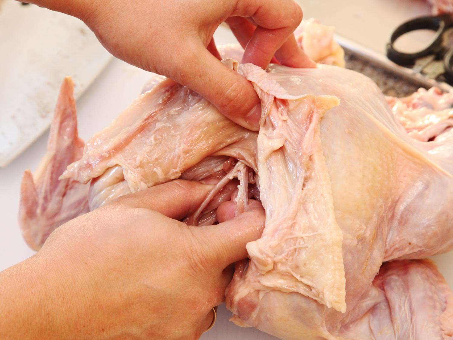 Author pulling on wishbone which has been cut free from the breast meat.