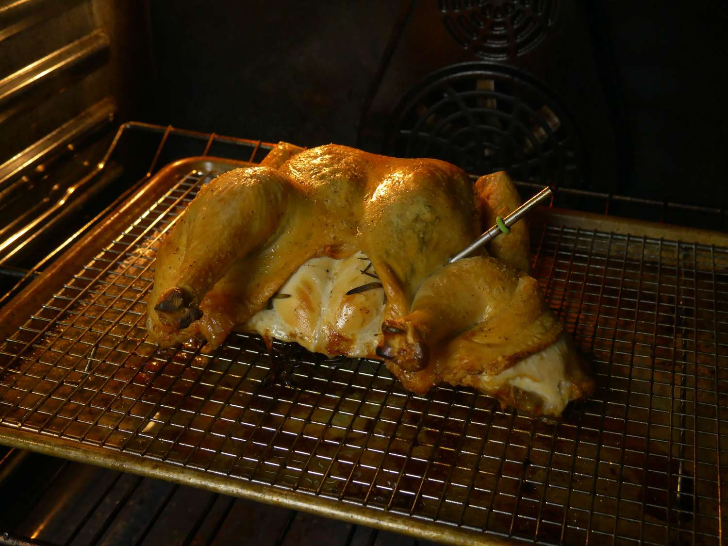 rfx probe in roast chicken in oven