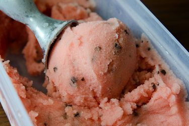 Watermelon cocoa nib sorbet
