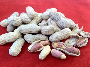 20120319_SaltedinShellPeanuts_Primary.jpg