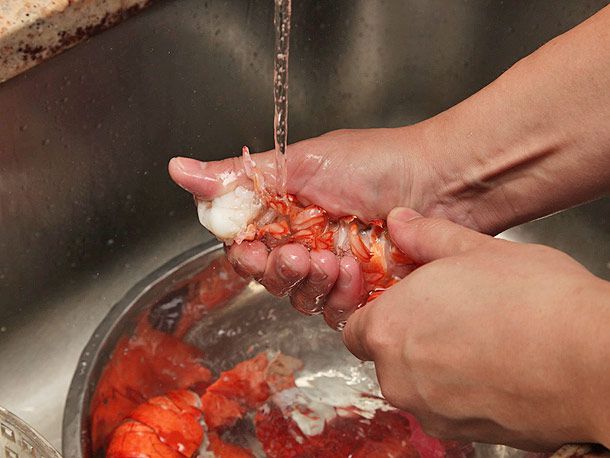 Squeezing a cooked lobster tail under running water, with other lobster parts and water in a metal bowl below