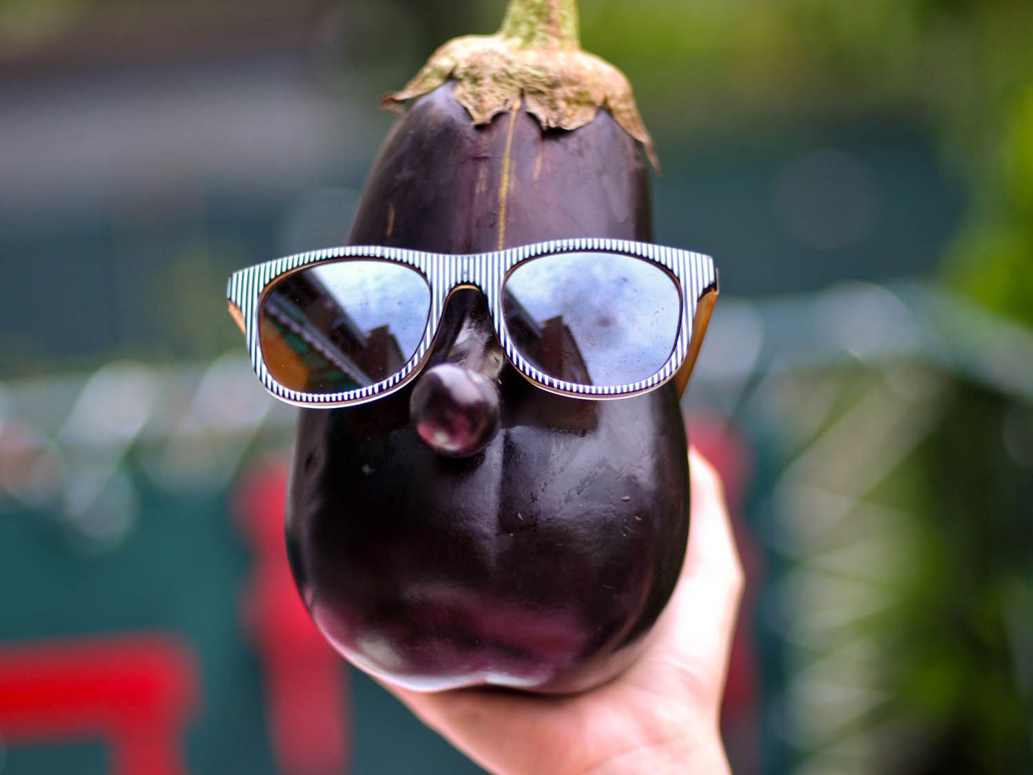20140716-eggplant-rolls-eggplant-with-sunglasses-joshua-bousel.jpg