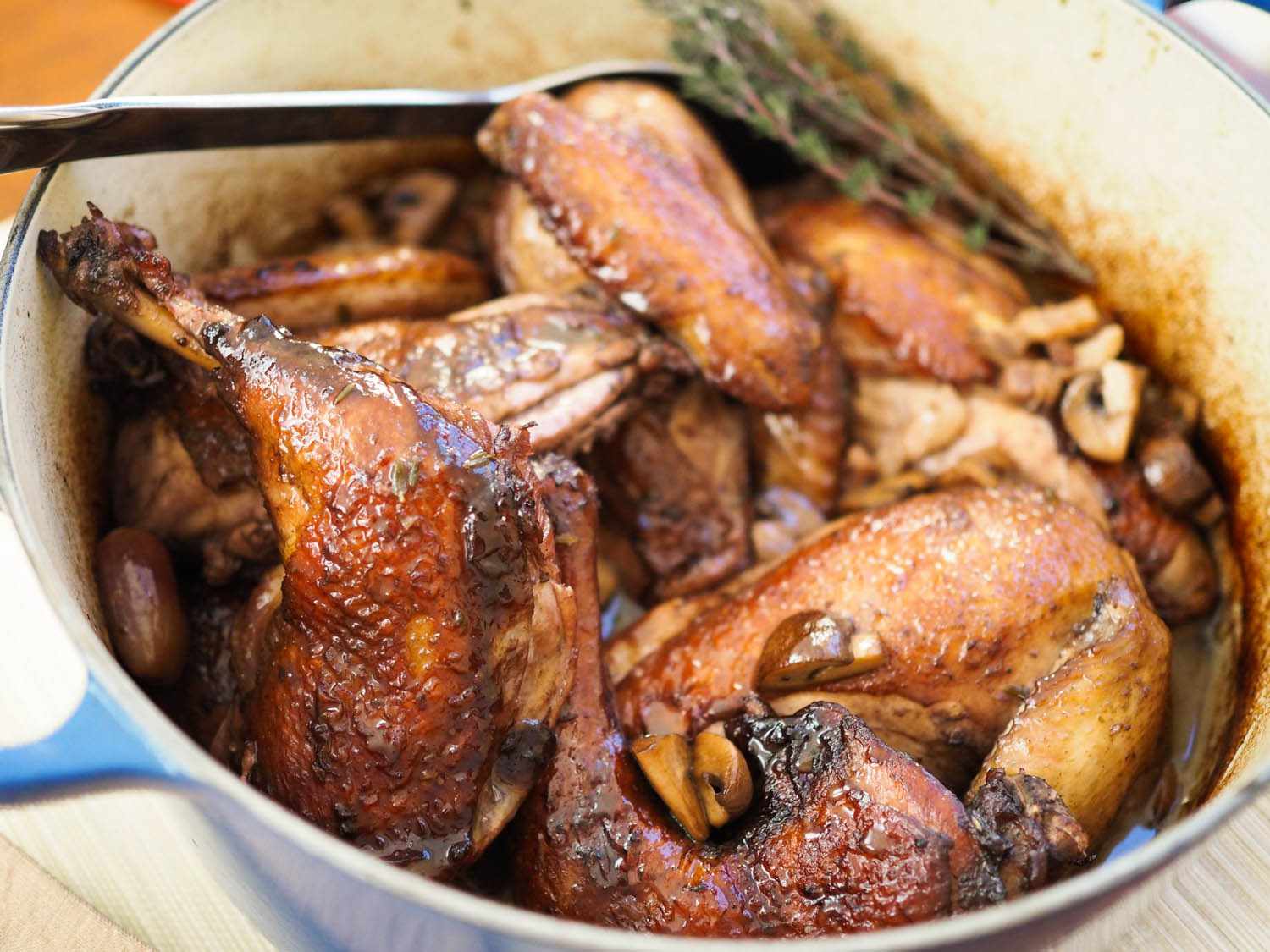 Close-up of coq au vin. The browned, wine-tinged chicken is glistening with the braising liquid.
