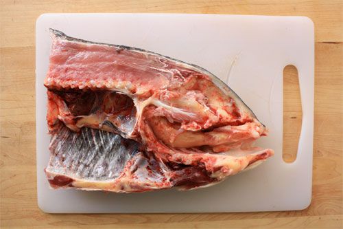 20110419-fish-head-rawjpg.jpg