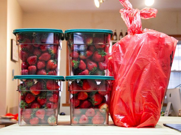 Four large cambro containers filled with strawberries next to a large red plastic grocery bag.