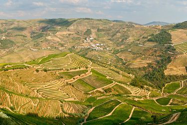 Thumbnail image for portugal douro valley