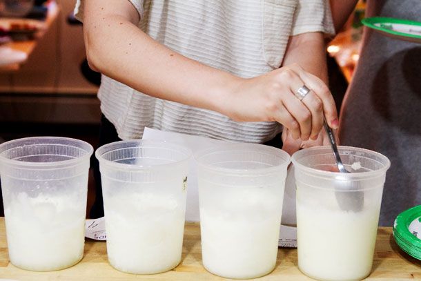 Four lemon sorbets with equal sweetness, but made with different amounts of corn syrup and sugar.