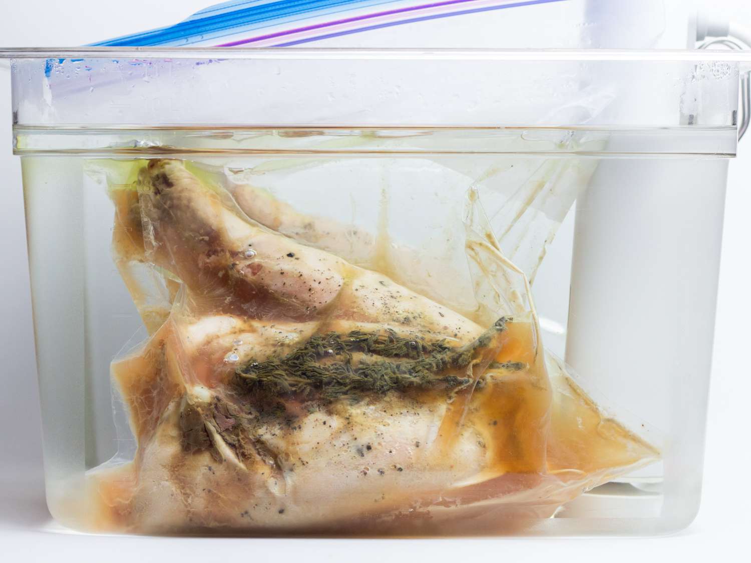 Seasoned turkey leg and thyme submerged in water.