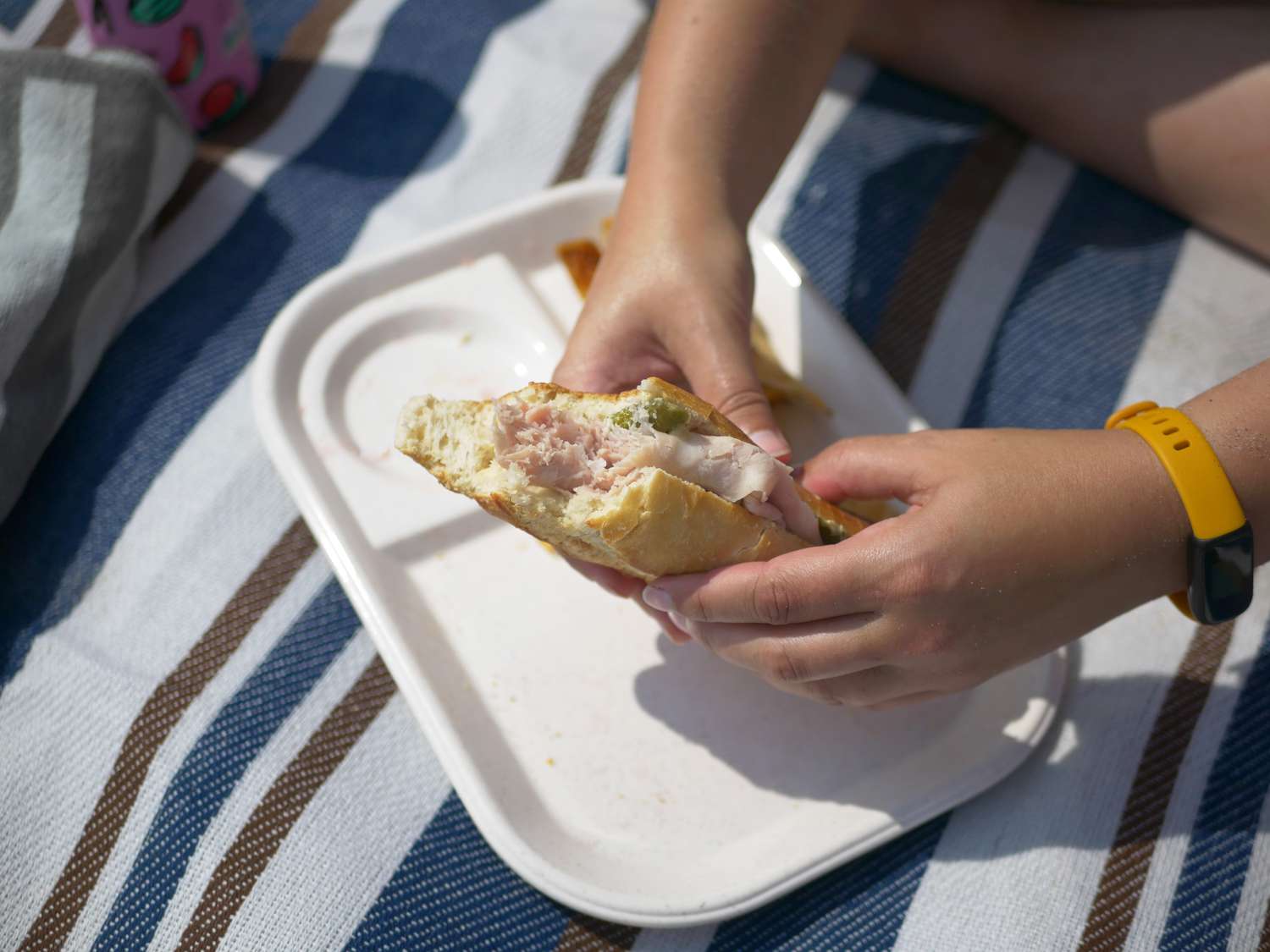 a person eating a hand sandwich on the scuddles picnic blanket