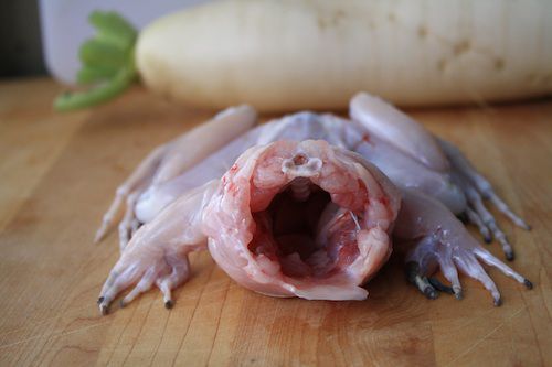 raw headless frog