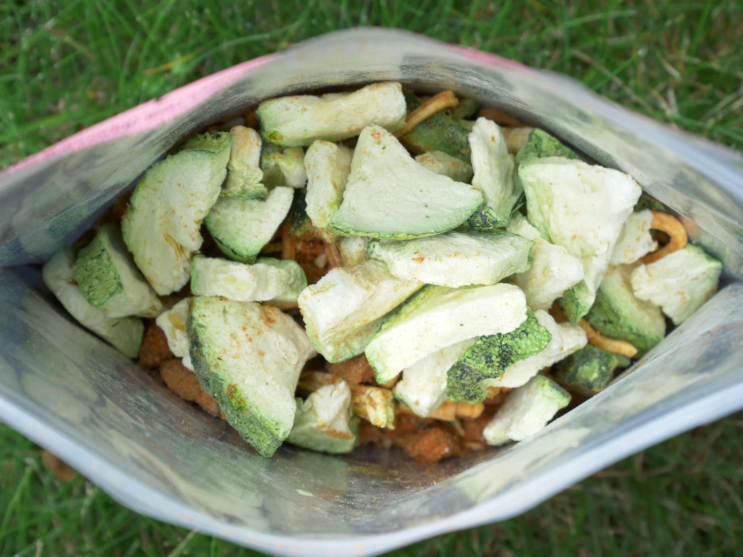 closeup of freeze dried backpacking food interior with visible pieces of zucchini and other vegetables