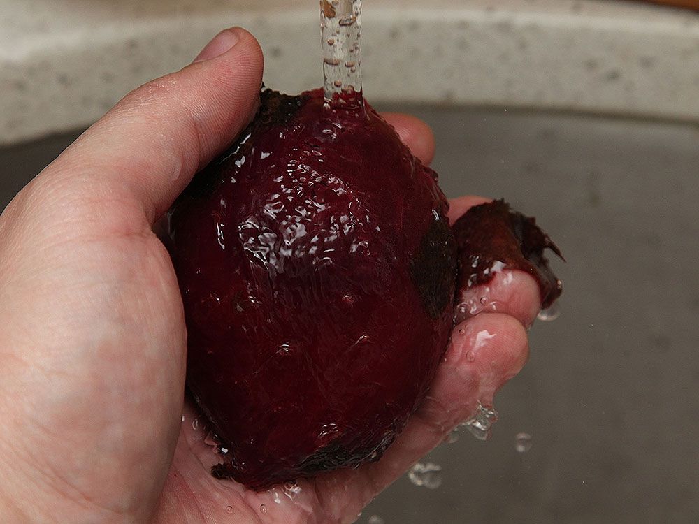 Hand holding a roasted beet under running water.